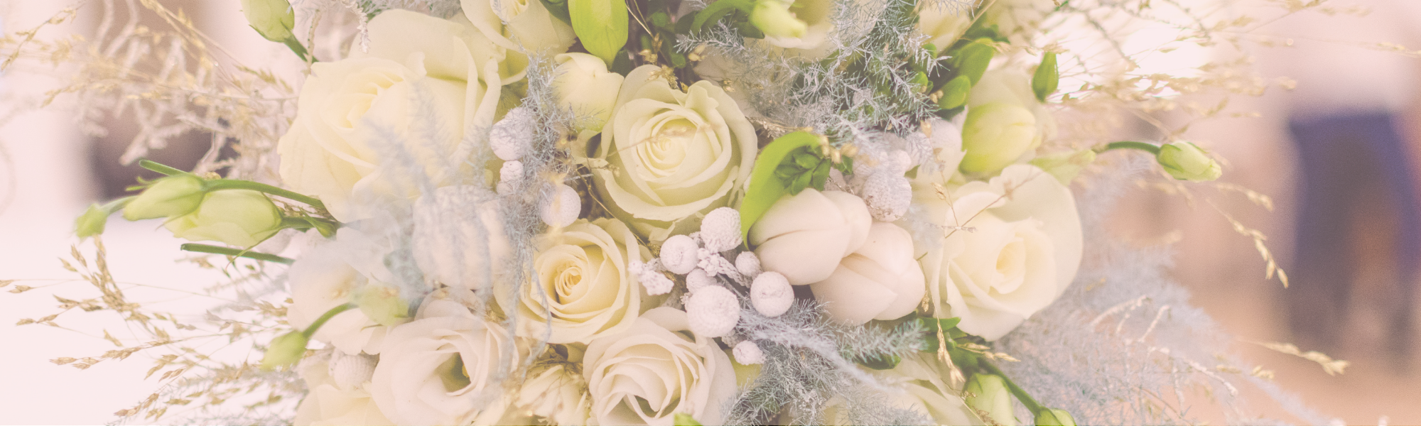 Website header (7)
